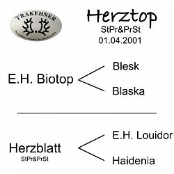 Herztop