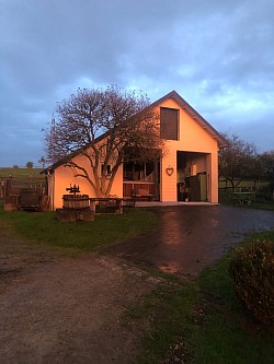 Stall in der Abendsonne